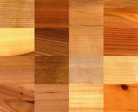 DIY Wood Stain Guide for Beginners - You Can Do It!