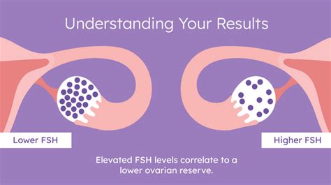 What is FSH & How Does it Affect My Fertility? - Proov