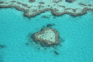 Great Barrier Reef Australia | Pictures taken on my 9-week b… | Flickr