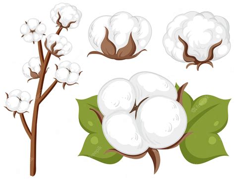 Free Stock Cotton Clipart - Cotton Clip Art Png Transparent PNG - Clip Art Library