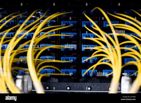 A bunch of network cables in a data center Stock Photo - Alamy