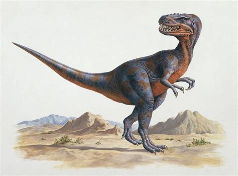 Alectrosaurus Dinosaur Photograph by Deagostini/uig/science Photo ...