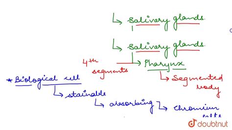 Chromophil cells present on pharynx of Earthworm take part in secretio