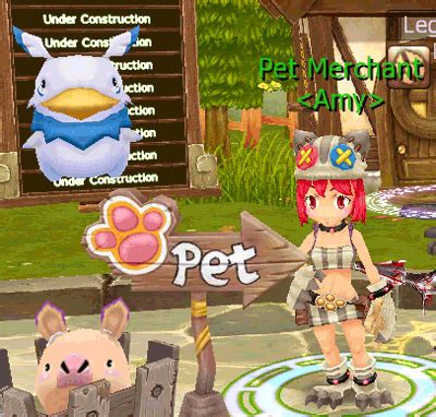 Normal Pets - Official Dragon Saga Wiki