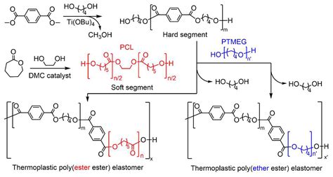 Polymers | Free Full-Text | Sustainable Polycaprolactone Polyol-Based ...