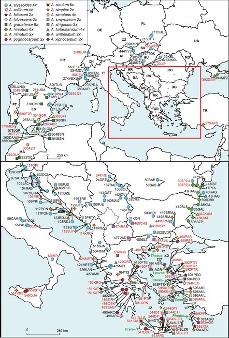 Frontiers | Multiple Drivers of High Species Diversity and Endemism Among Alyssum Annuals in the ...