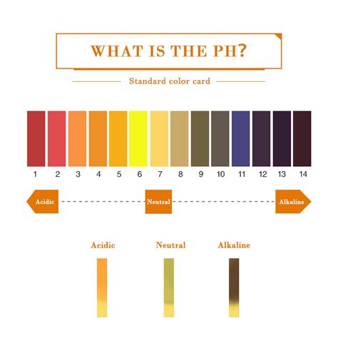 Ph. 1-14 Test Paper Extensive Test Paper Litmus Test Paper Sonkir pH ...