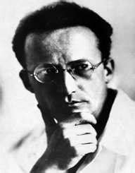 Erwin Schrödinger Biography, Life, Interesting Facts