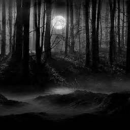 Dark Forest by doku - Audiotool - Free Music Software - Make Music Online In Your Browser