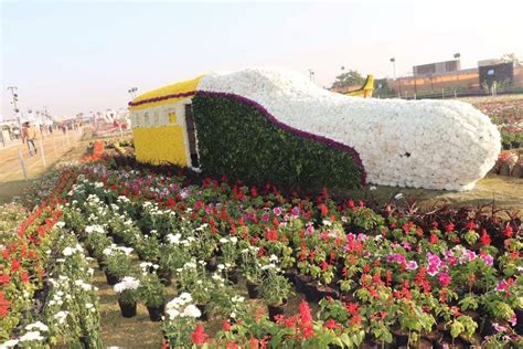 Flower show 2019 at Riverfront in Ahmedabad | Riverfront, Flower show, Fairs and festivals