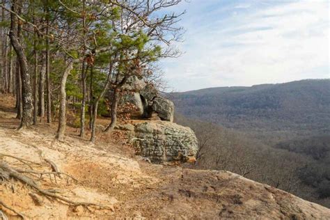 How To Reach Hawksbill Crag Hiking the Whitaker Point Trail - The ...