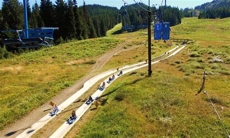 Mount Hood Oregon Alpine Slide - AllTrips