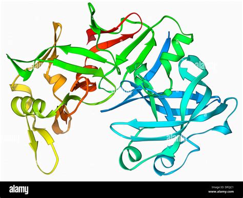 Pepsina estructura fotografías e imágenes de alta resolución - Alamy