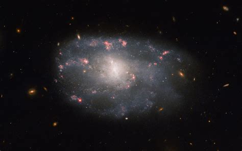 Hubble captures photo of spiral galaxy ripe with star formation