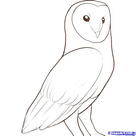 http://imgs.steps.dragoart.com/how-to-draw-a-barn-owl-step-11_1_000000046603_5.jpg | block ...