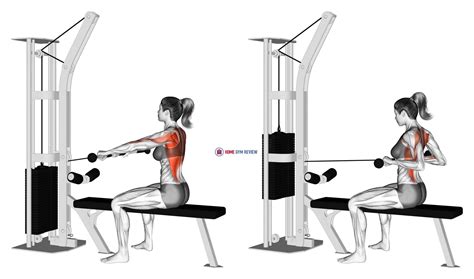 Cable Seated Row (female) - Home Gym Review