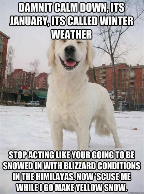 55 Funny Winter Memes That Are Relatable If You Live in the North