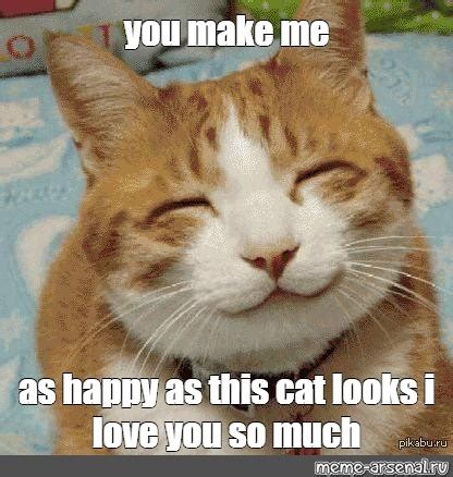 Meme: "you make me as happy as this cat looks i love you so much" - All ...