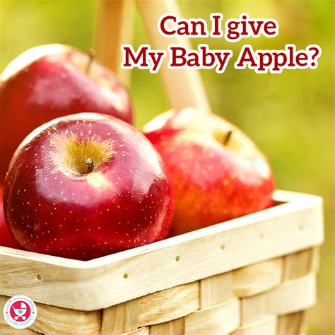 Can I give my Baby Apple?