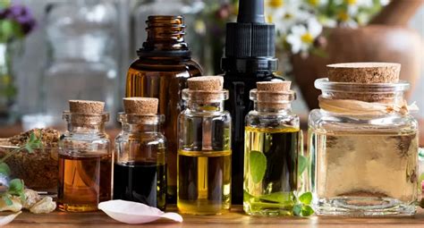 Best Essential Oil Brands in the United States 2024