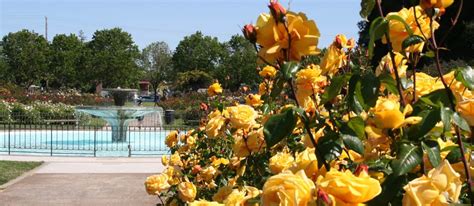 The Historic Rose Garden