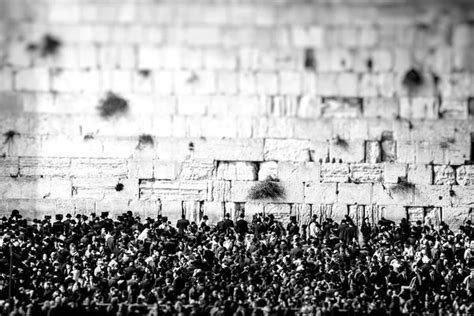 Prayers at the Western Wall, Jerusalem, Israel. Stock Photo by ©Curioso ...