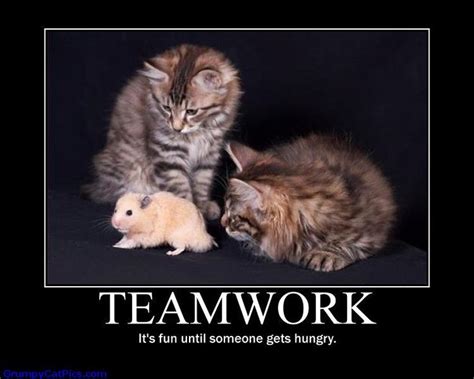 Teamwork Funny Quotes Teamwork, it's fun until | Beauty Sales Careers ...