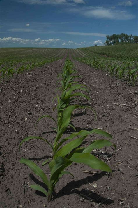 Why Tillage Erosion Is Bigger Than Wind and Water Erosion