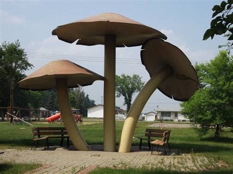 Vilna, Alberta - World's largest mushrooms | Alberta travel, Canadian road trip, Canada road trip