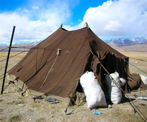 Nomad tent | Tent, Kodiak tent, Nomad