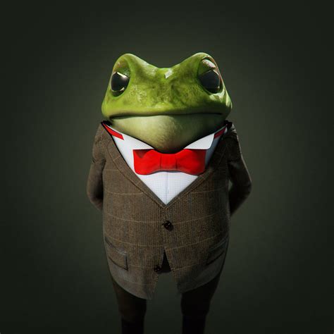 Toad of Toad Hall on Behance