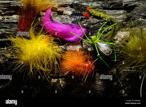 Fly Fishing Equipment Stock Photo - Alamy