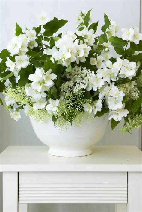mock orange, spirea | Beautiful flower arrangements, White flowers, Beautiful flowers