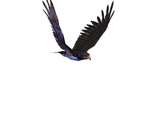 Eagle clipart animation, Eagle animation Transparent FREE for download on WebStockReview 2023