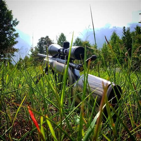 RandolphRiflemen: Image of the Day: "Behind Every Blade Of Grass"