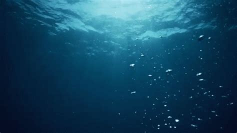 Underwater Bubbles GIF - Underwater Bubbles - Discover & Share GIFs