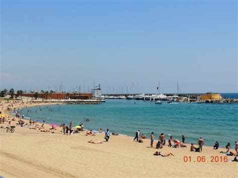 Nude Beach - Nova Mar Bella Beach, Barcelona Traveller Reviews ...