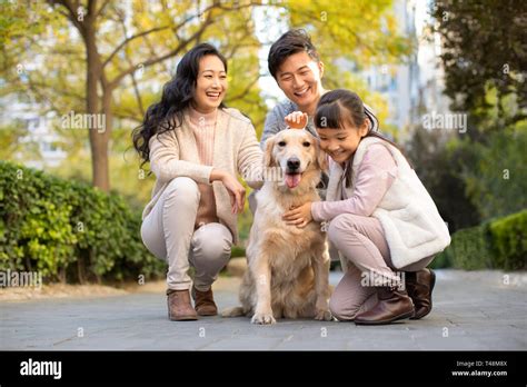 Happy young family playing with dog Stock Photo - Alamy