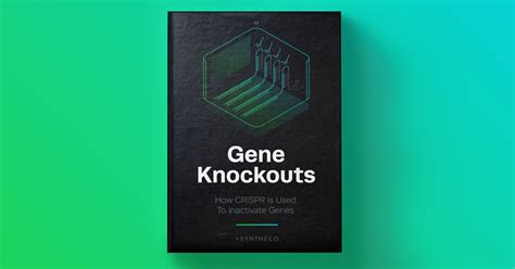 A Step-by-Step Guide on Gene Knockouts