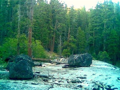 kibbiecreek18 (cell phone camera) | Kibbie Creek, Yosemite W… | Flickr