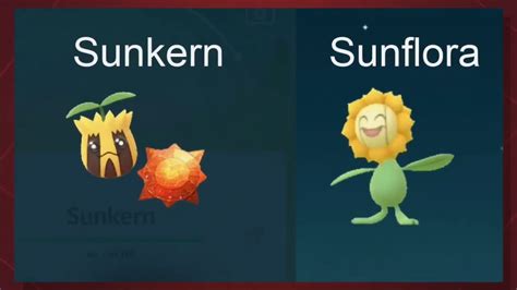 SUNKERN Evolution - SUNKERN evolves into a SUNFLORA POKÉMON GO - YouTube