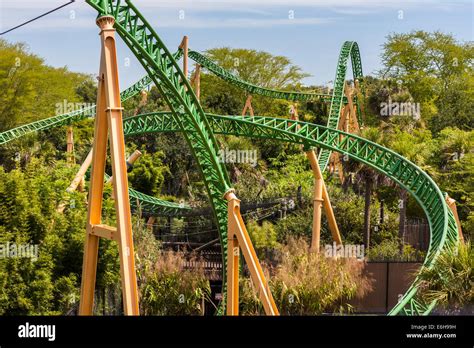 Cheetah Hunt roller coaster at Busch Gardens Tampa Bay in Tampa, Florida Stock Photo - Alamy