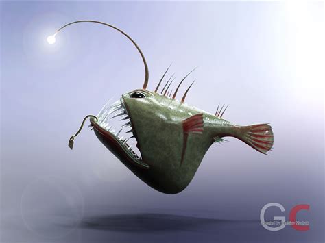 Angler fish - ANGUS free 3D model | CGTrader