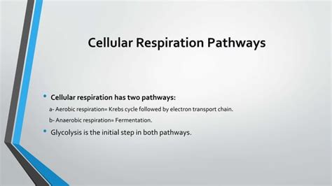 Redox reactions in cellular respiration.pptx