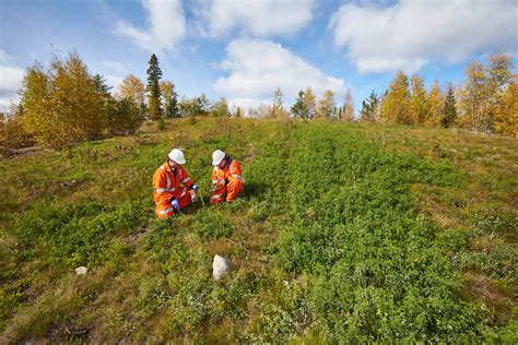 The Green Jobs Program - MiHR | Mining Industry Human Resources Council