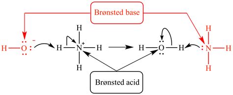 Illustrated Glossary of Organic Chemistry - Brønsted-Lowry base