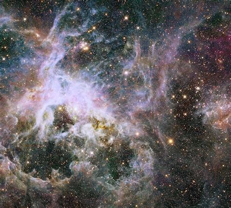 The Tarantula Nebula by Hubble Hubble Photos, Hubble Images, Hubble Pictures, Cosmos, Space ...