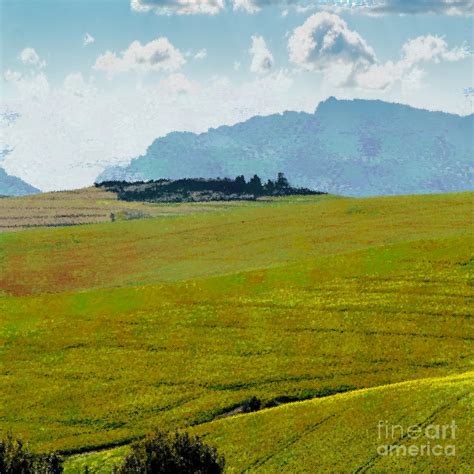 Rolling Hills Landscape Painting by D Tao - Fine Art America