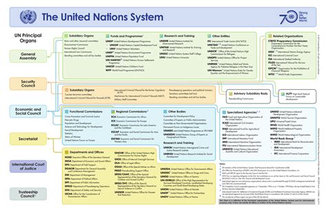 The UN System