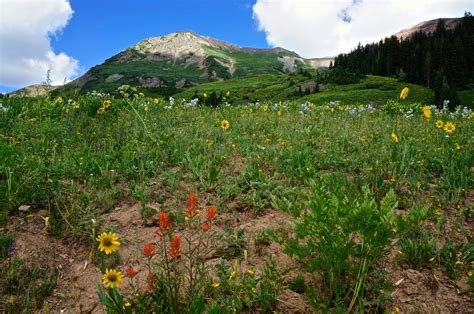 Crested Butte Hiking: 5 Bucket List Trails